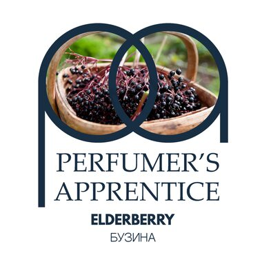 Еlderberry (Бузина)