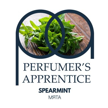 Spearmint (Мята)