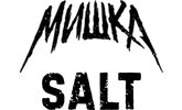 Мишка V2 SALT