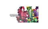 International Collection by Kilo