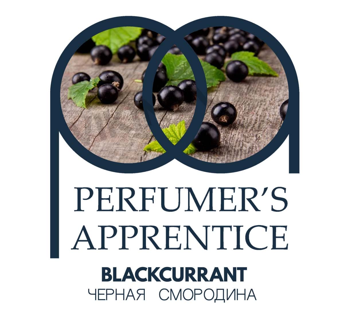 The Perfumer's Apprentice Blackcurrant (Черная смородина)
